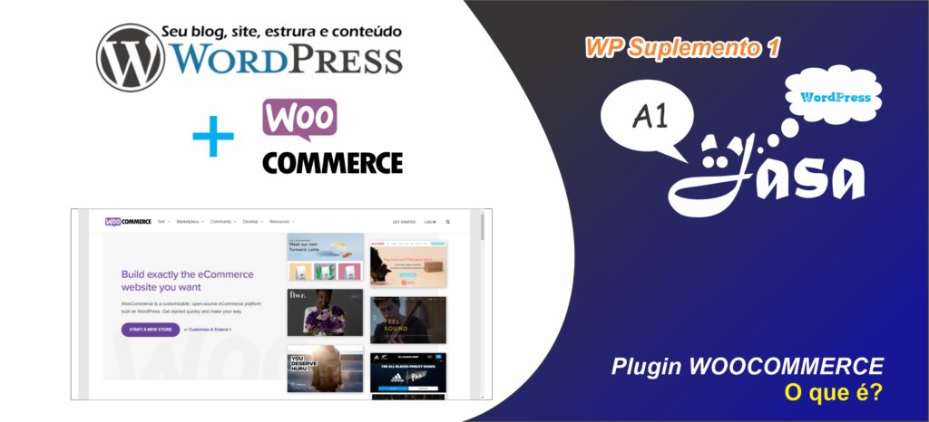 Capa conteúdo - WP WooCommerce: O que é? | Suplemento 1 A1